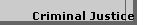 Criminal Justice